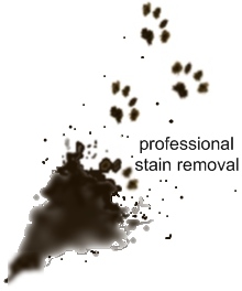 professional stain removal